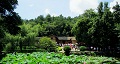 長沙出發(fā)到花明樓、韶山、張家界國家森林公園、天門仙山國家森林公園四日游